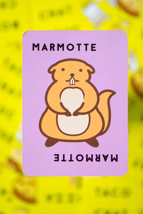 Test du jeu TACO CHAT BOUC CHEESE PIZZA marmotte